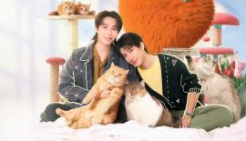 Трейлер Кот за наличные