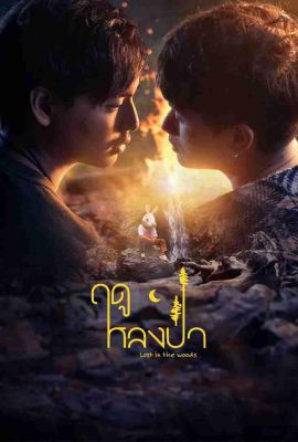 Лакорн / дорама Заблудившийся в лесу